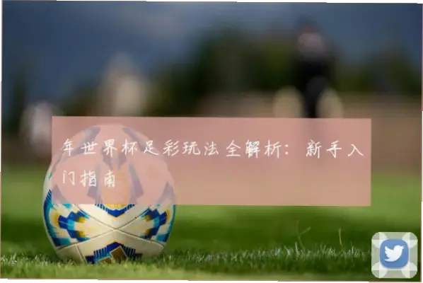 足彩网新手入门玩法指南